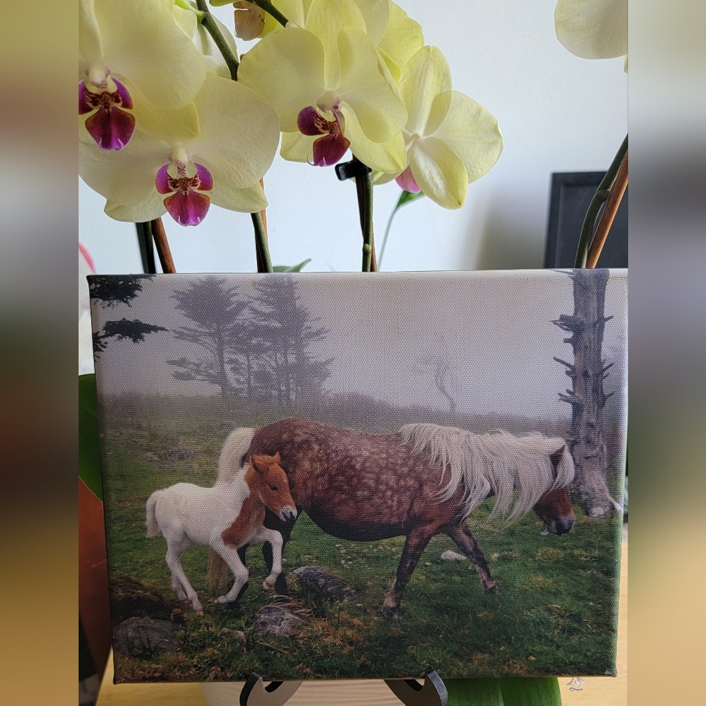 Handcrafted Wild Horses Canvas Art Print